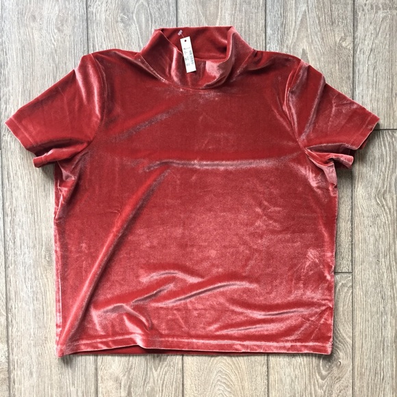 Madewell Tops - Madewell Velvet Mockneck Tee